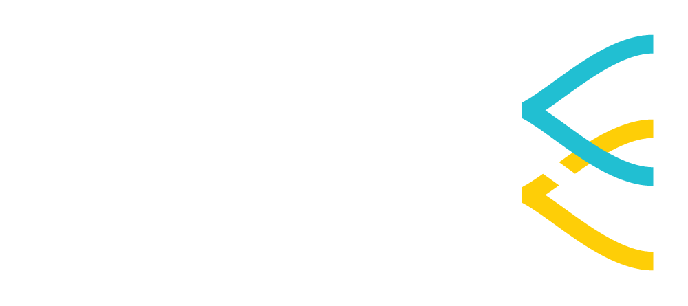 Avelo Airlines