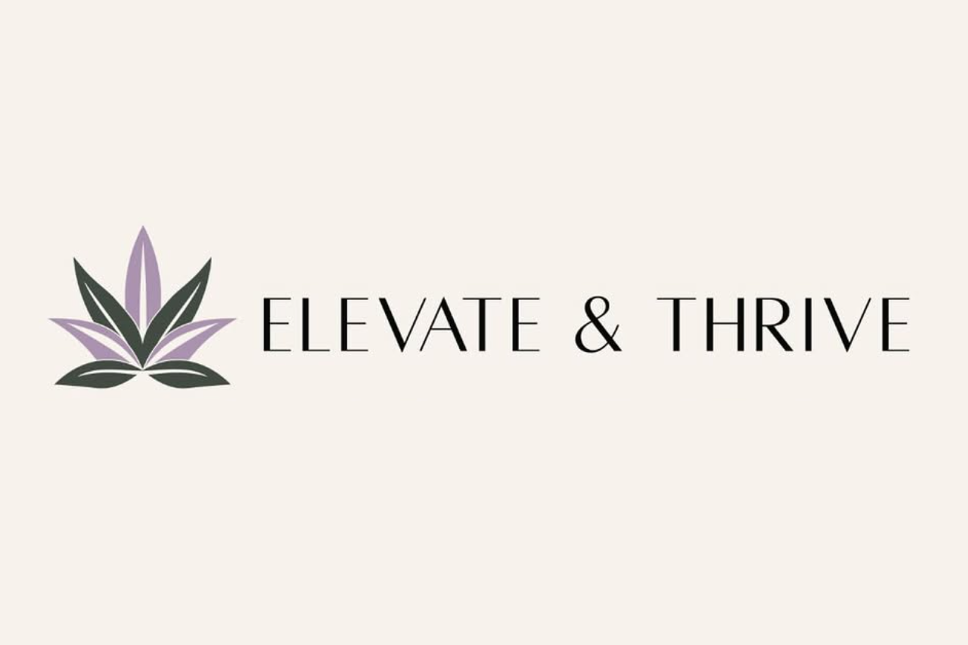 elevate and thrive attract Aerial view of Quassy Amusement park