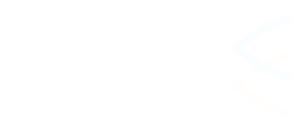 Avelo Airlines