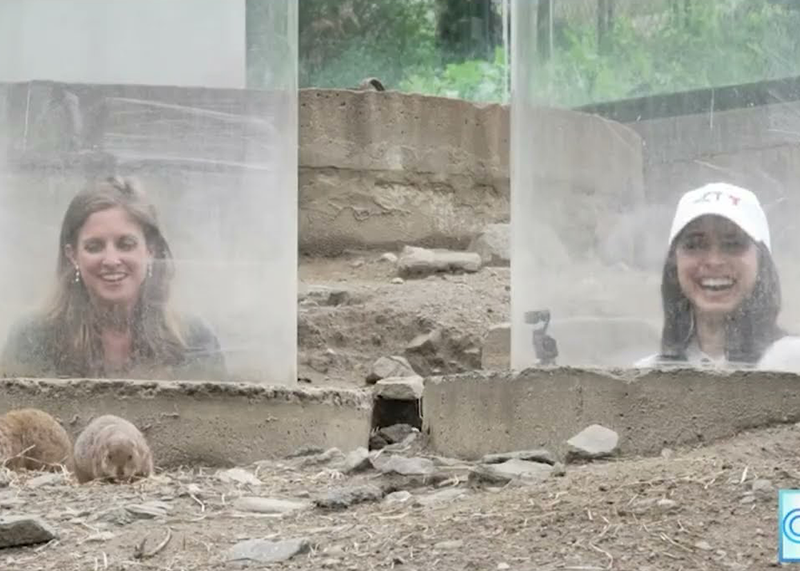 CT LIVE segment at Connecticut's Beardsley Zoo