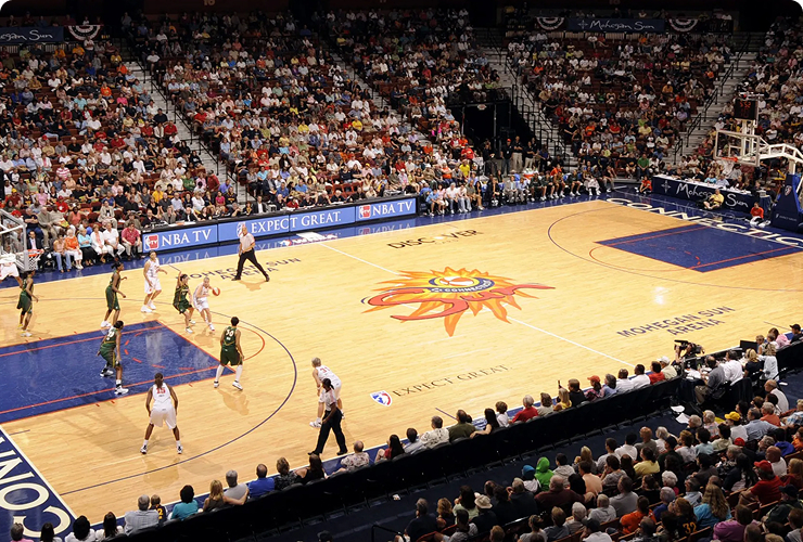 CT Sun (Basketball)